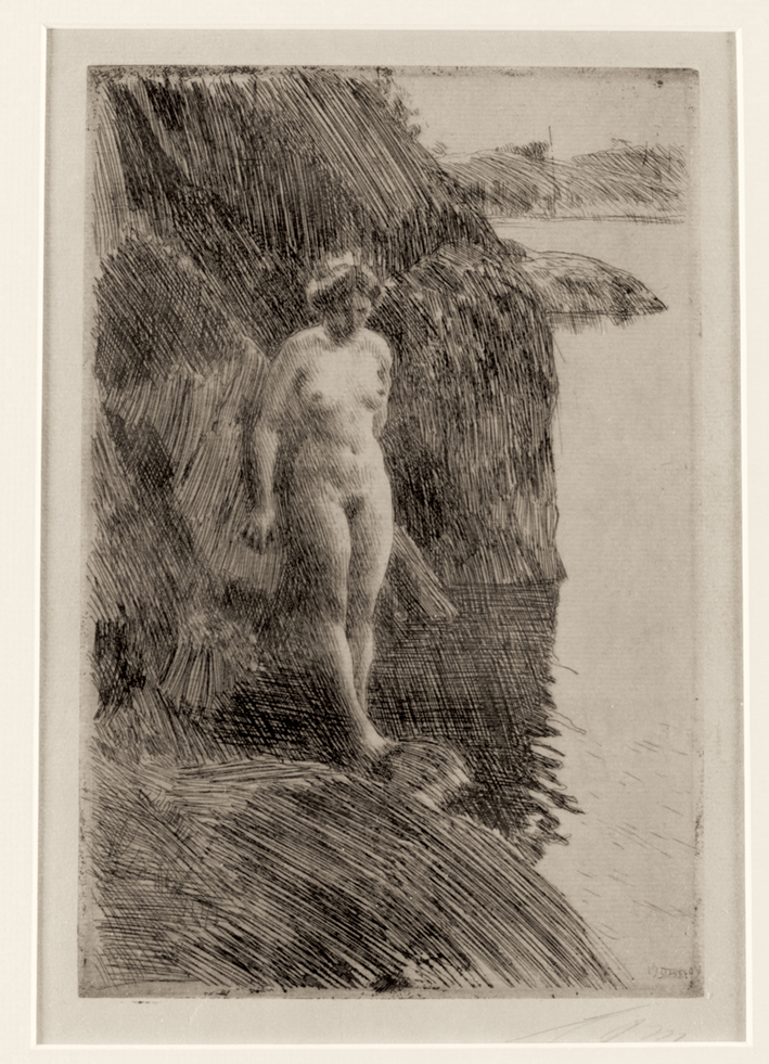  安德斯·莱奥纳德·佐恩 Anders Leonard Zorn —— 佐恩(素描) (106)